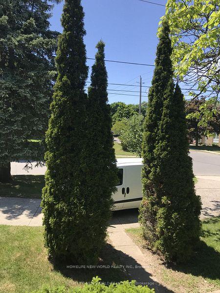 203 Goddard Street, Toronto, ON M3H 5E7