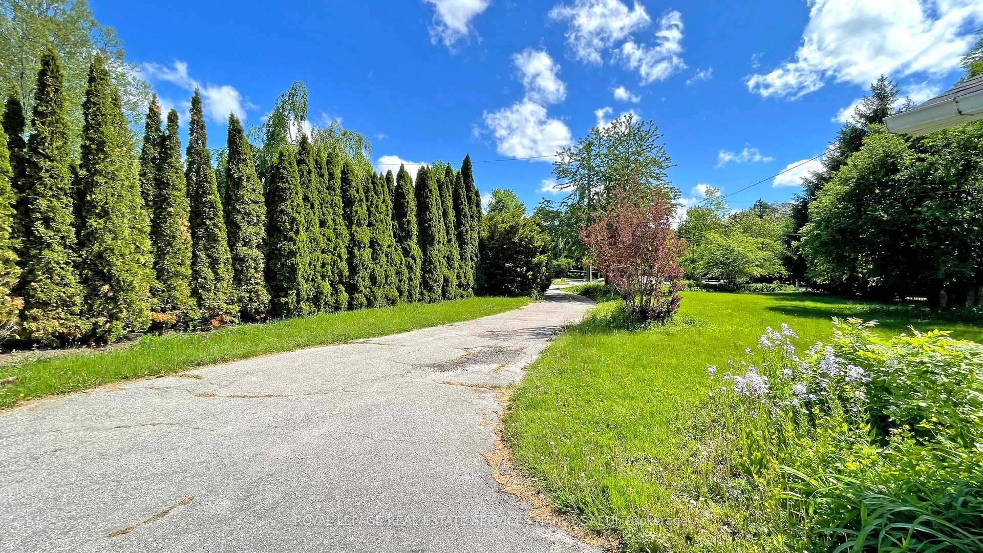 78 Arjay Crescent, Toronto C12, ON M2L 1C7