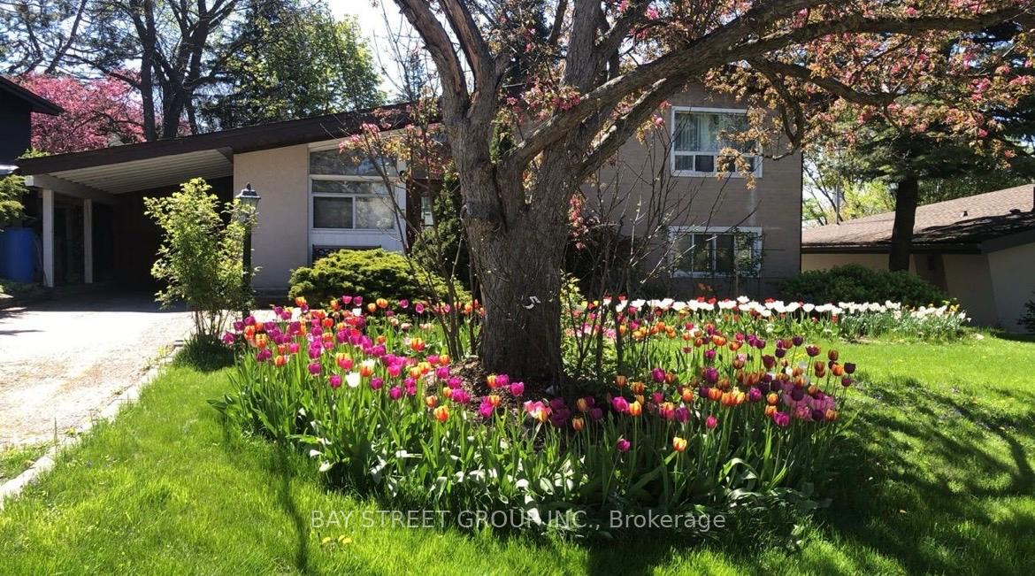 5 Cottonwood Drive, Toronto C13, ON M3C 2B3