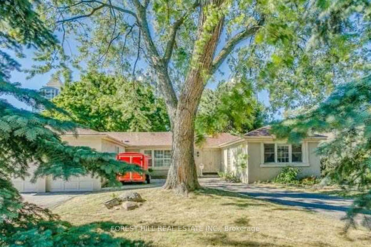 62 Northdale Road, Toronto C12, ON M2L 2M1