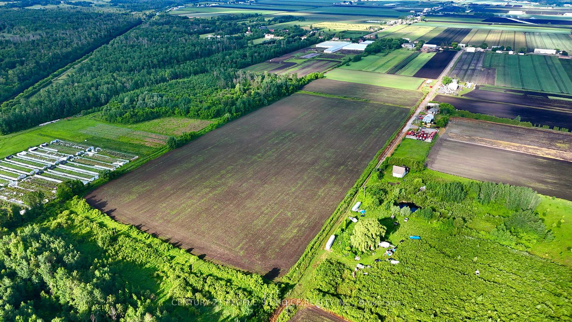 325 Lipchey Road, King, ON L3Y 4V9