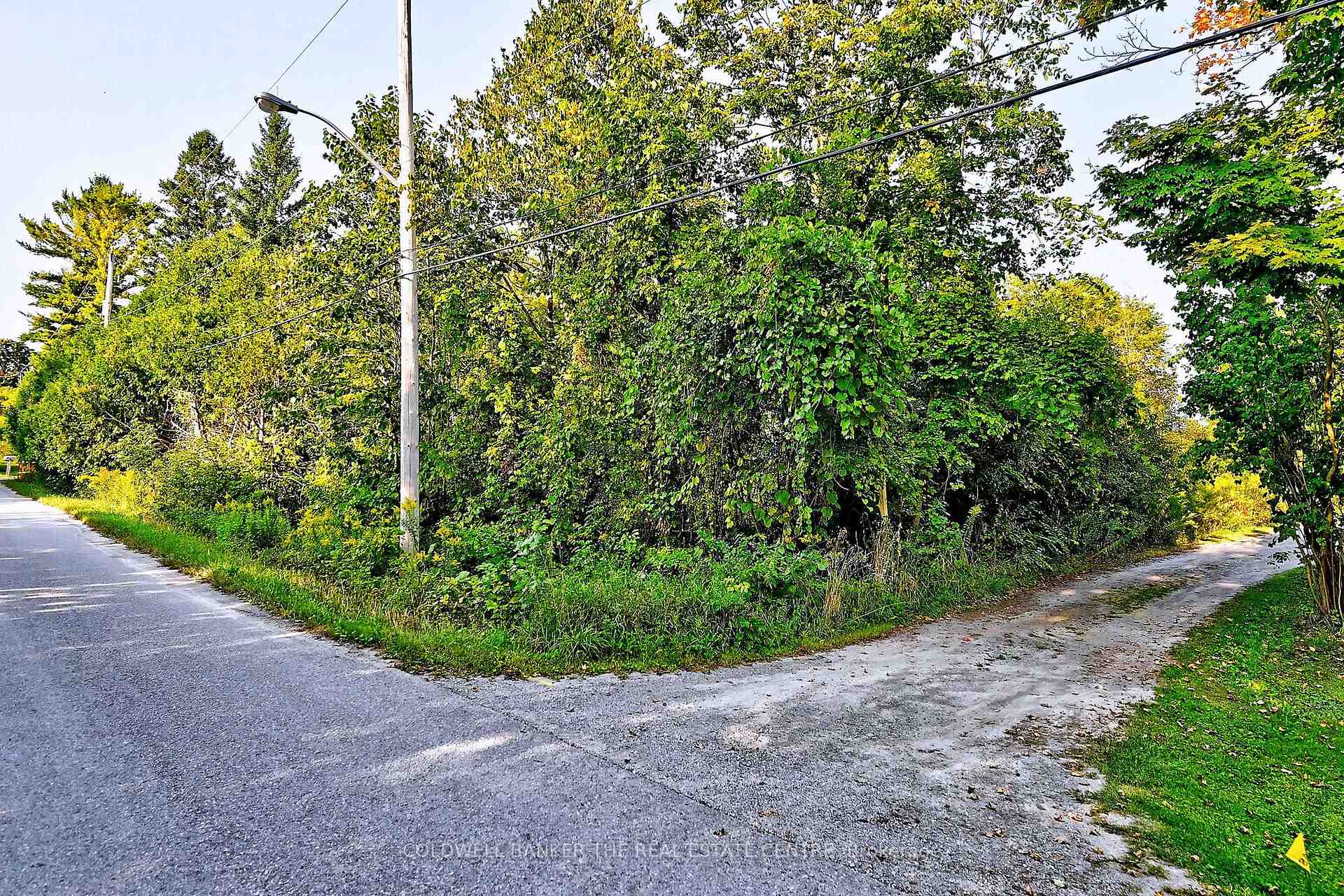 20805 Brock Road, Brock, ON L0E 1E0