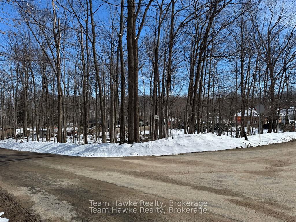 85 Polish Avenue, Penetanguishene, ON L9M 1W8