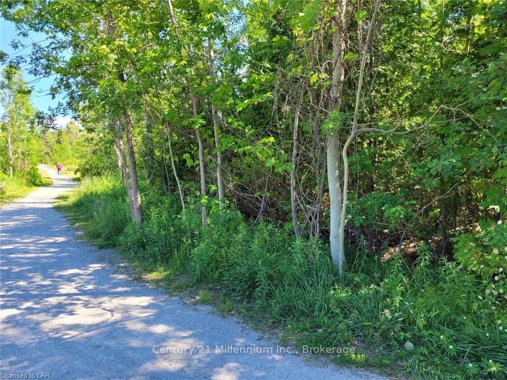 11325 26 Highway, Collingwood, ON L9Y 5E2