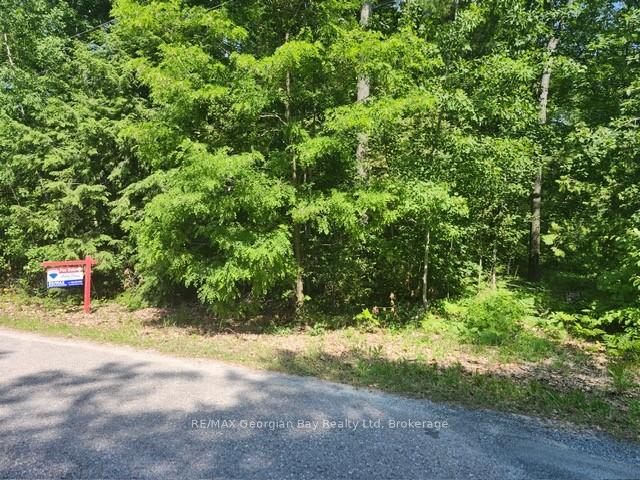 46 Oakwood Avenue N, Tiny, ON L9M 0J2