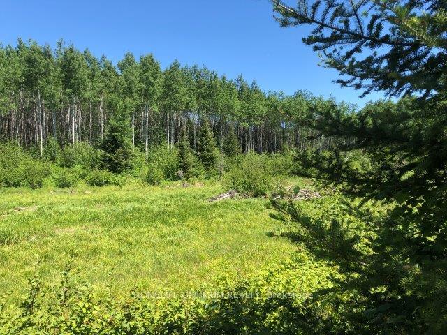 38.24 Acres in Ogden Township - PCL 24640 N/A, Timmins, ON P4N 7C2