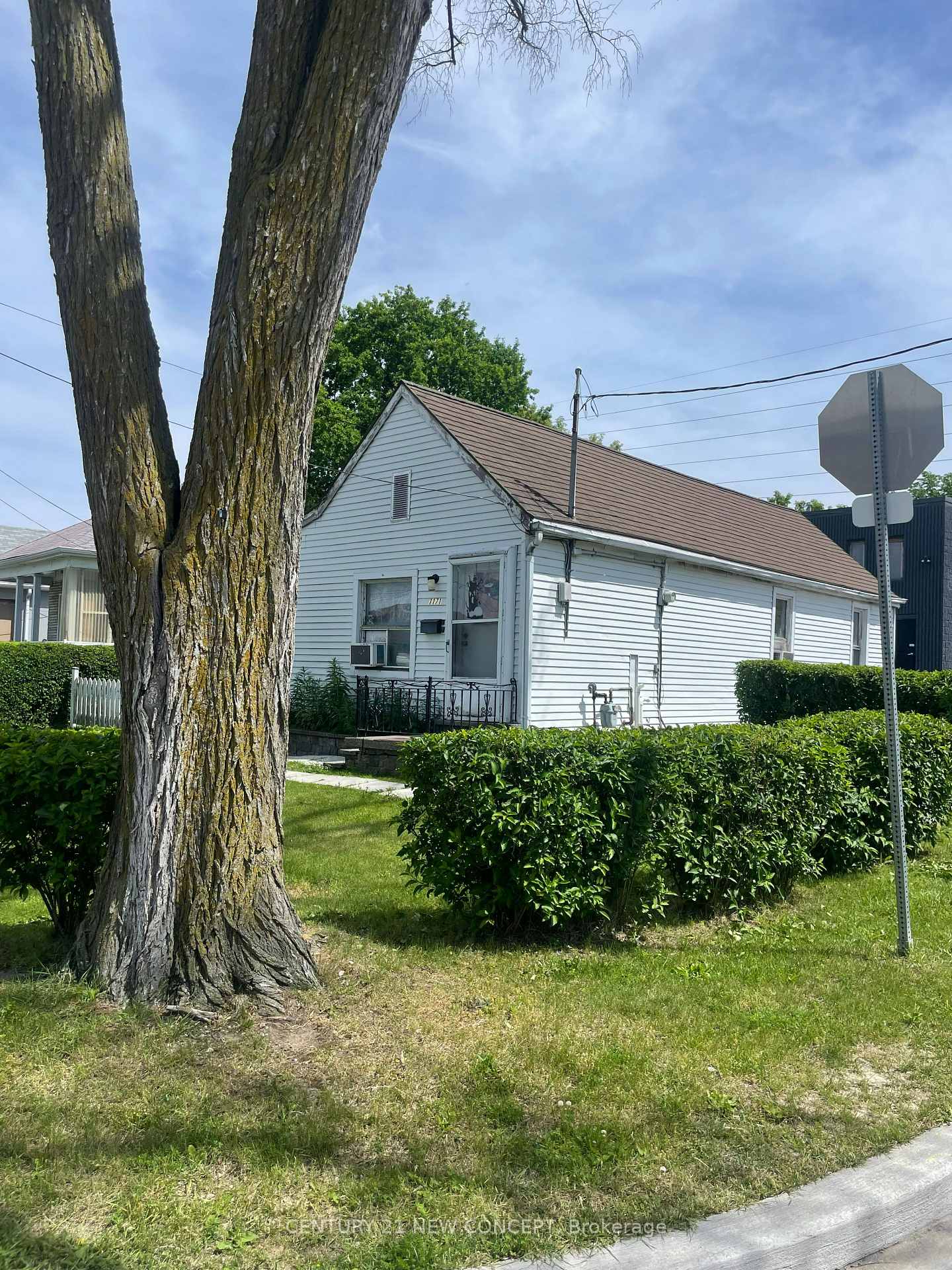 1171 Roselawn Avenue, Toronto, ON M6B 1C5