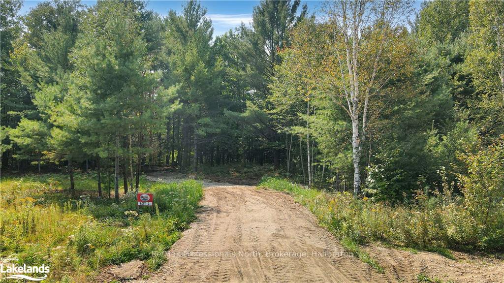 1071 Hawk Valley Road, Algonquin Highlands, ON K0M 1J2