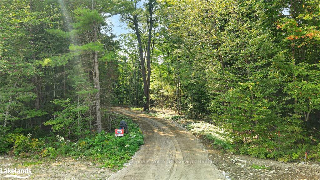 1193 Hawk Valley Road, Algonquin Highlands, ON K0M 1J2