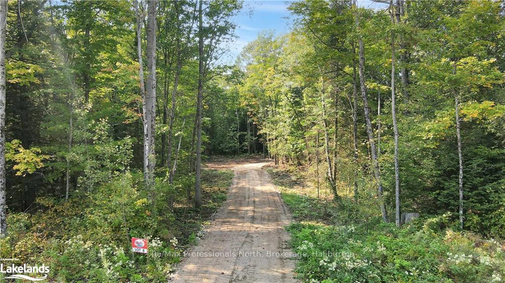 1169 Hawk Valley Road, Algonquin Highlands, ON K0M 1J2