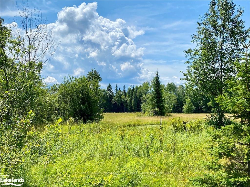 LOT 6-A 522 N/A, Parry Sound Remote Area, ON P0H 1S0