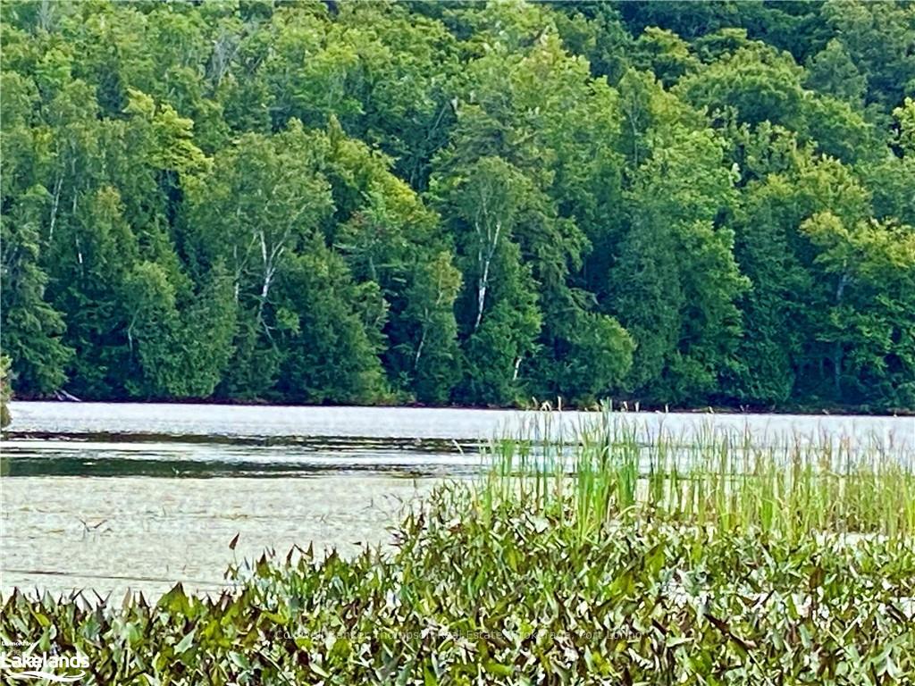 151 MAPLE Drive, Parry Sound Remote Area, ON P0H 1S0