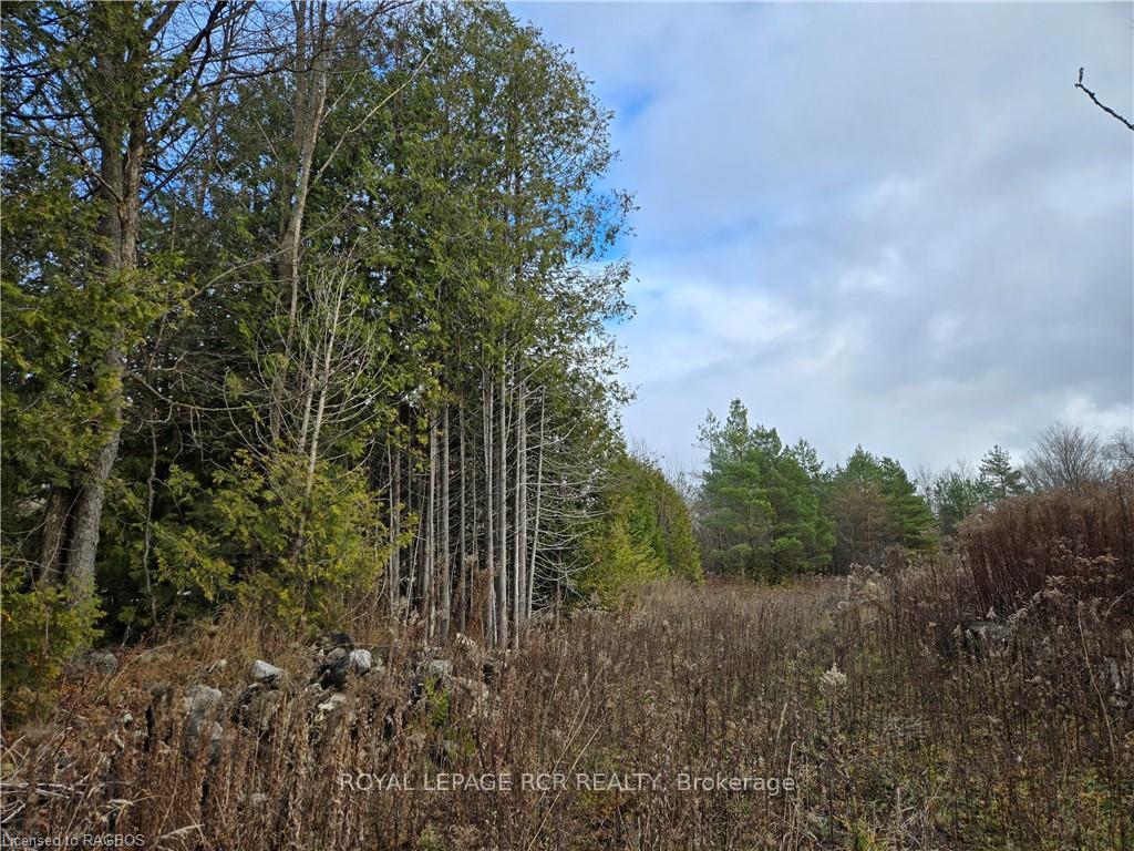 PTLT8ES SALTER Street, Chatsworth, ON N0H 2V0