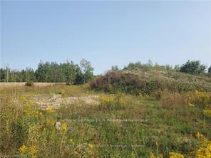 270 YOUNG Street, Southgate, ON N0C 1B0