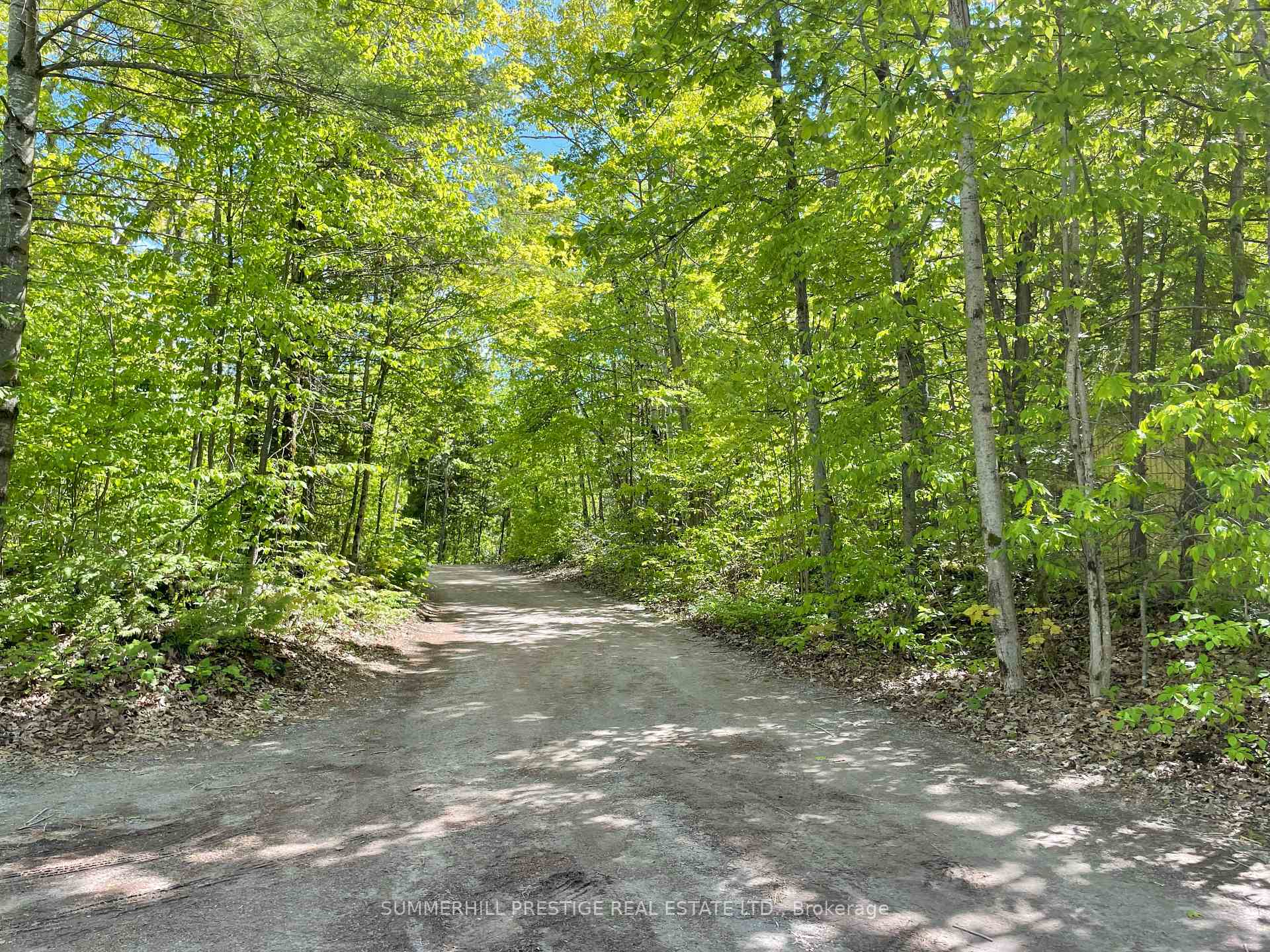 * Mcnevan Drive, Kawartha Lakes, ON K0M 1N0