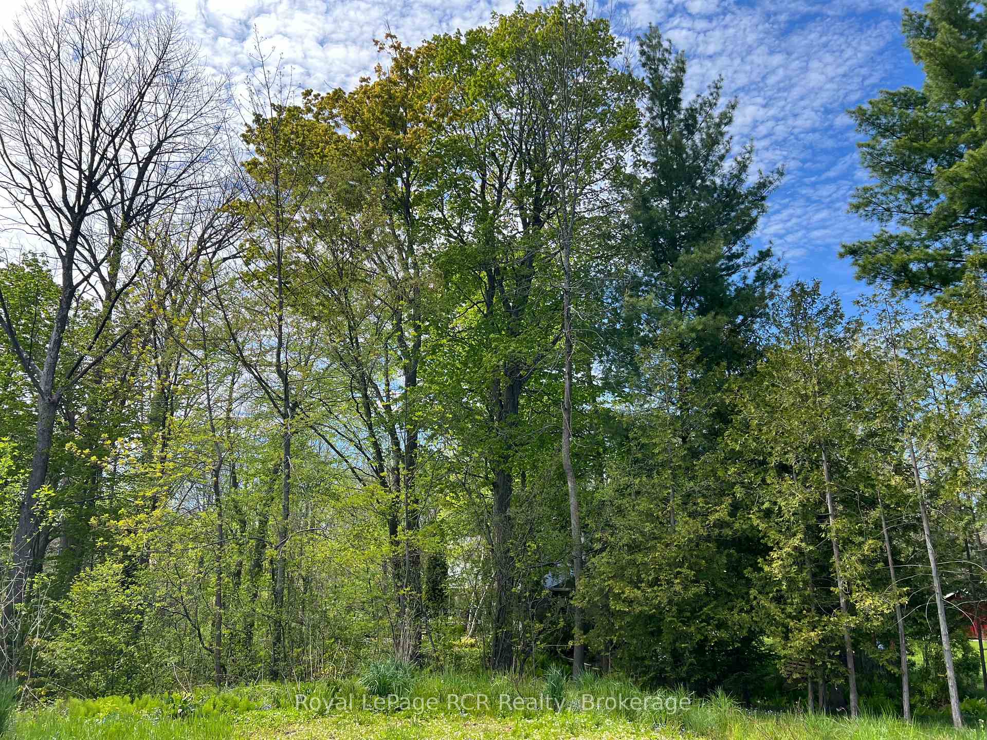 48 Gordon Crescent, Meaford, ON N4L 0A9