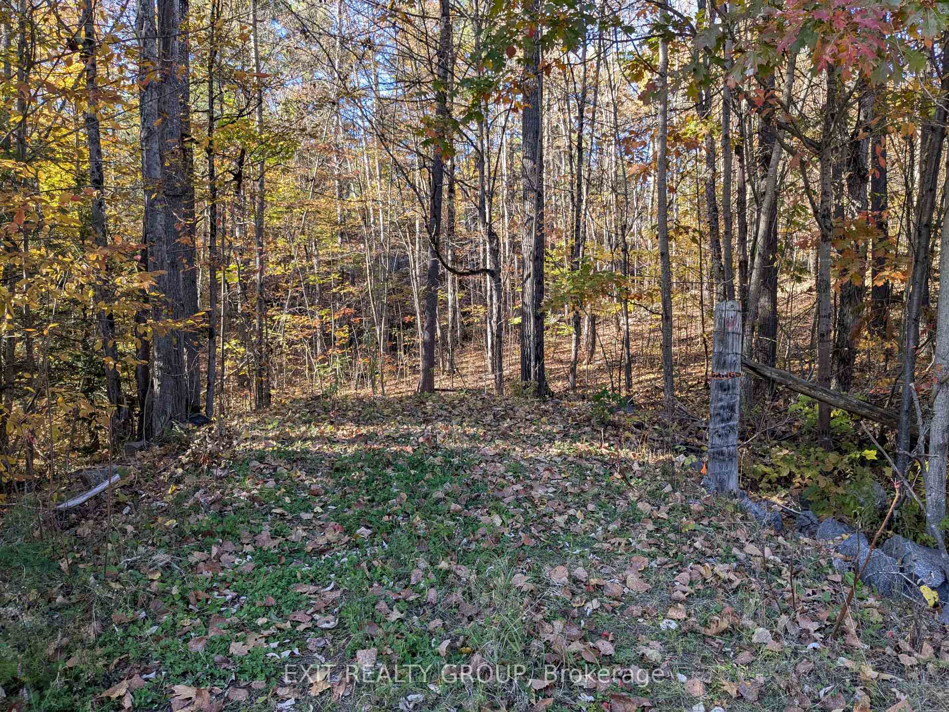 0 Flinton Road, Tweed, ON K0K 3J0