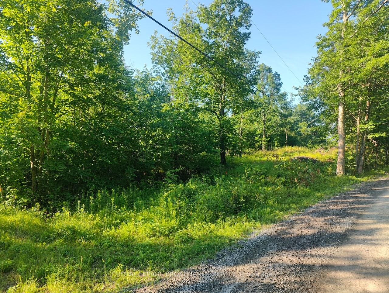 621A Cook Road, Marmora and Lake, ON K0K 2M0