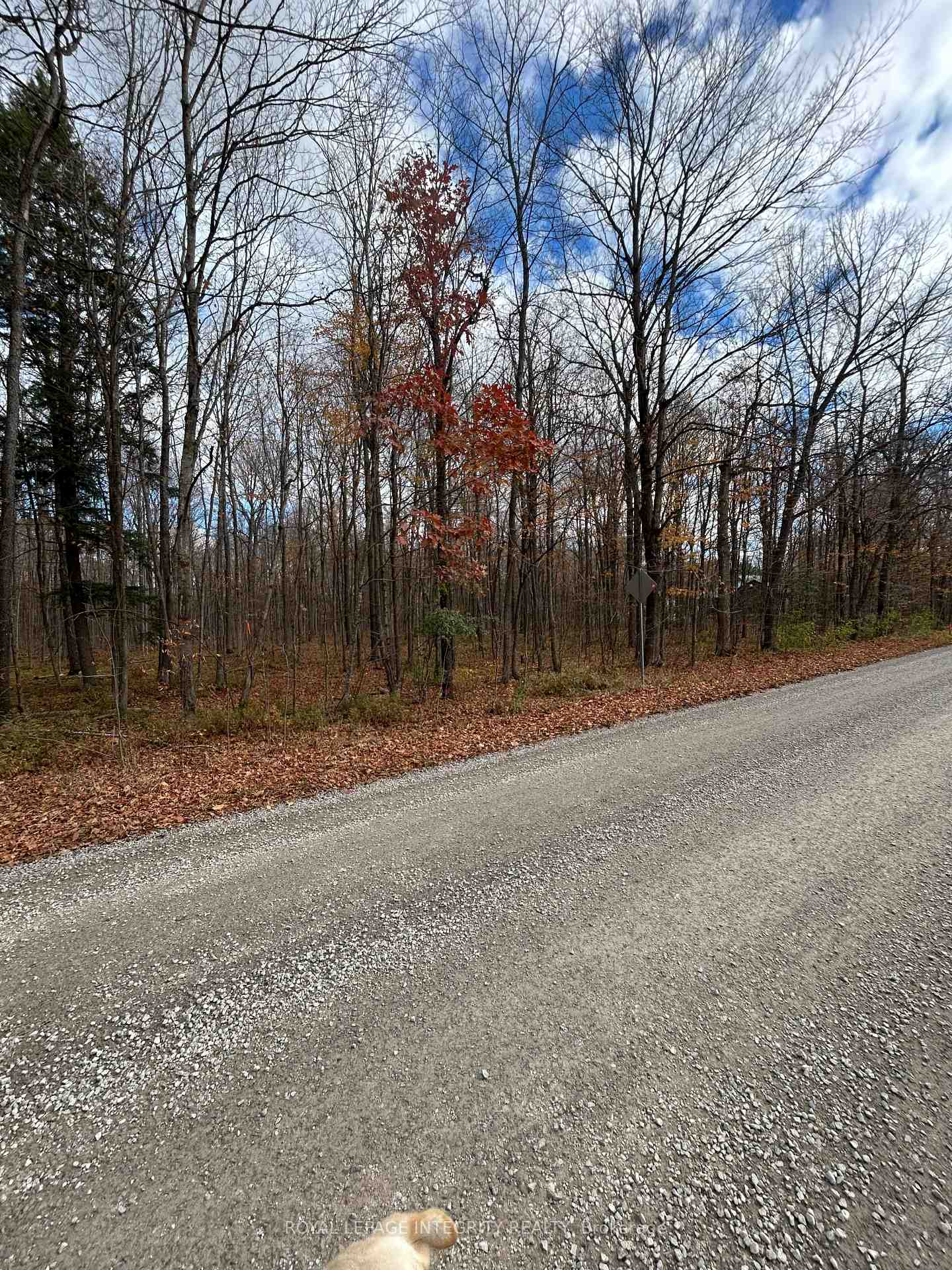 PT LT 17 Kyle Road, Augusta, ON K0G 1R0
