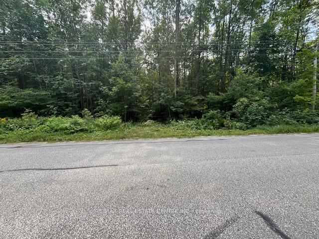PT LT44 Chatsworth  24 Road, Chatsworth, ON N0H 1R0