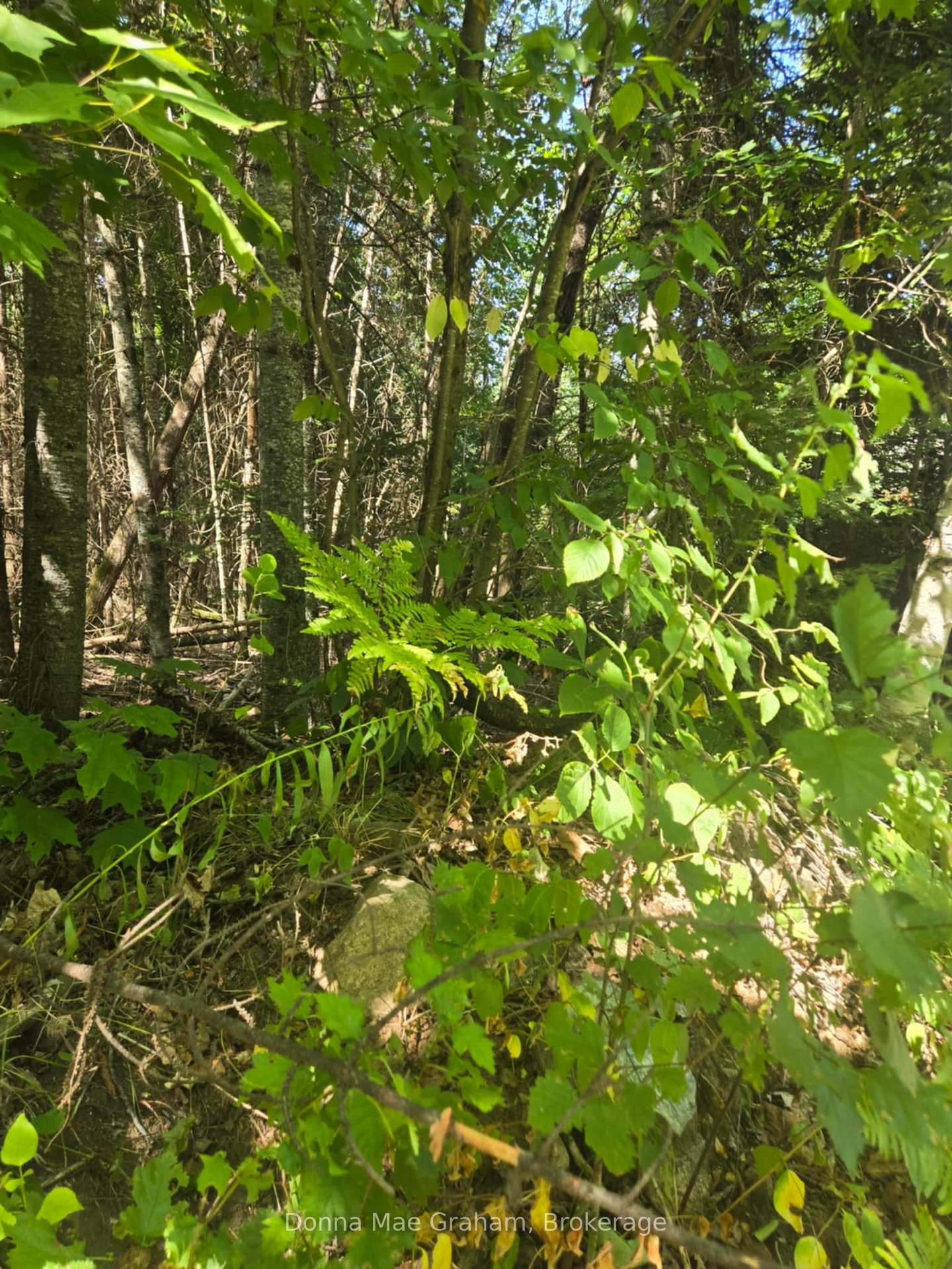 0 E MacDuff Road Acres E, Highlands East, ON K0L 3C0