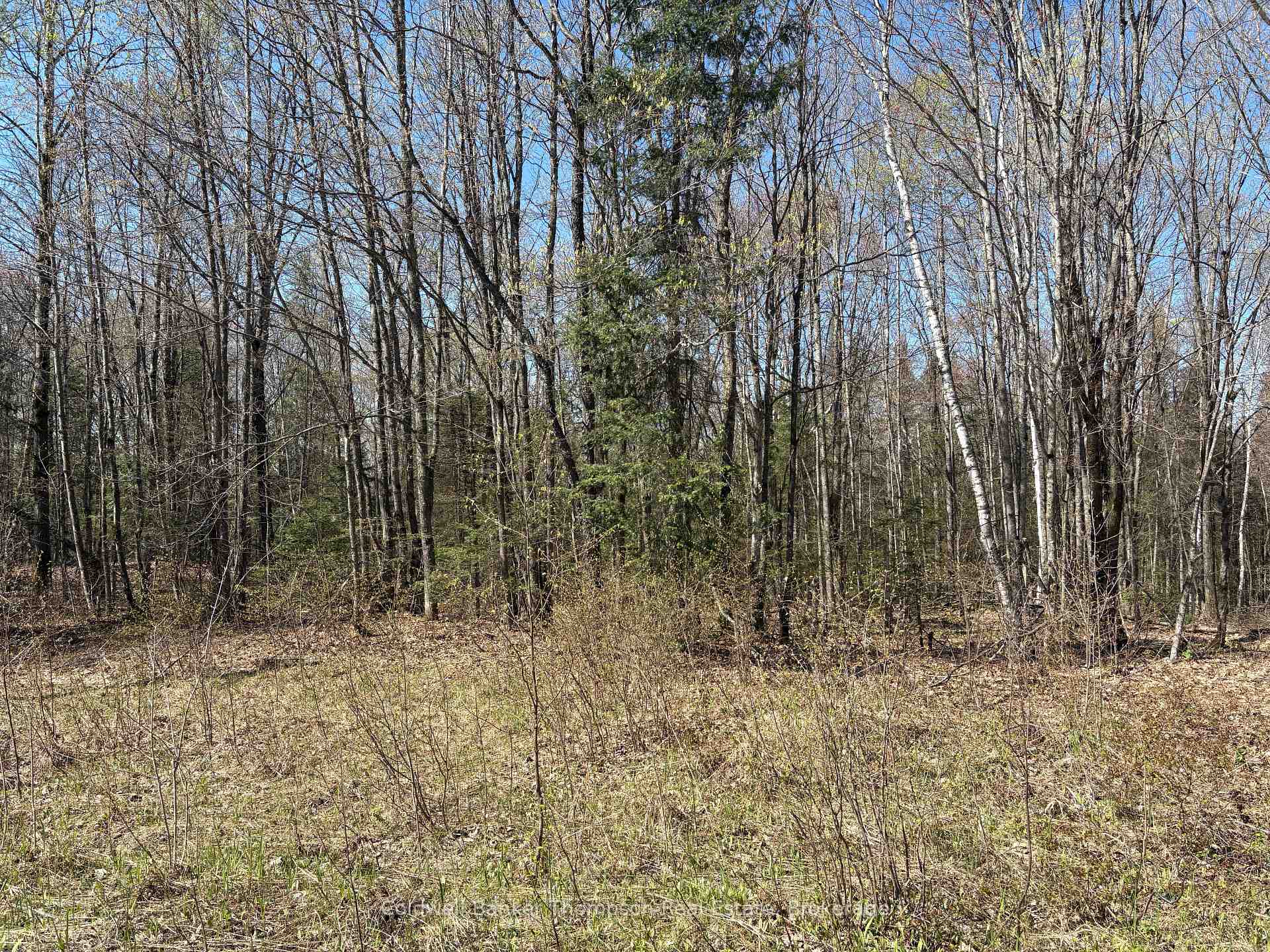 0 Hemlock Road, Powassan, ON P0H 2L0