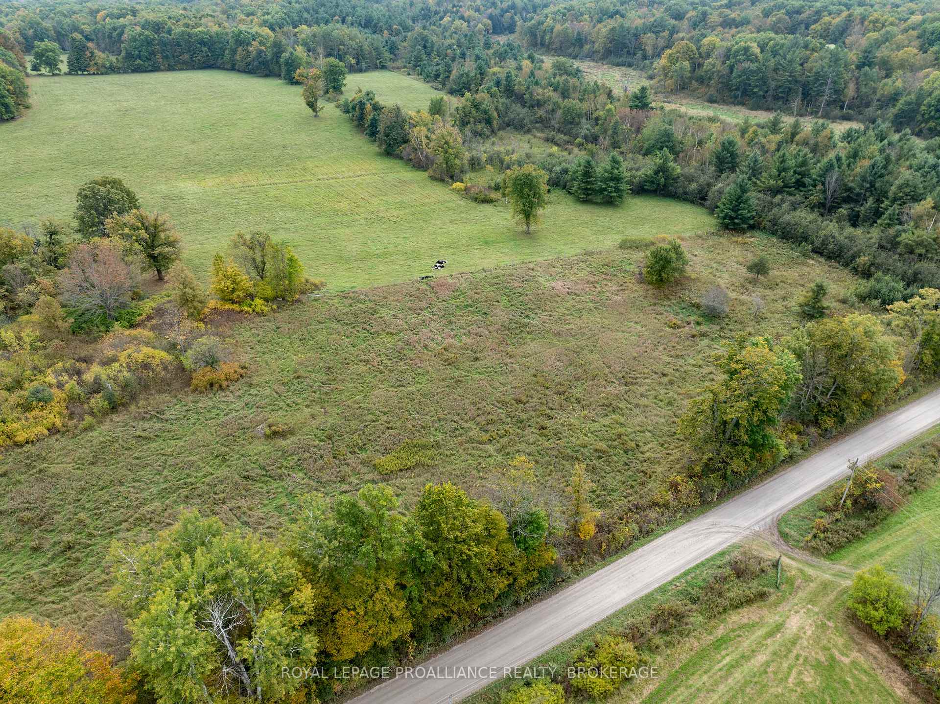 PT 4 McAndrews Road, Rideau Lakes, ON K0G 1X0