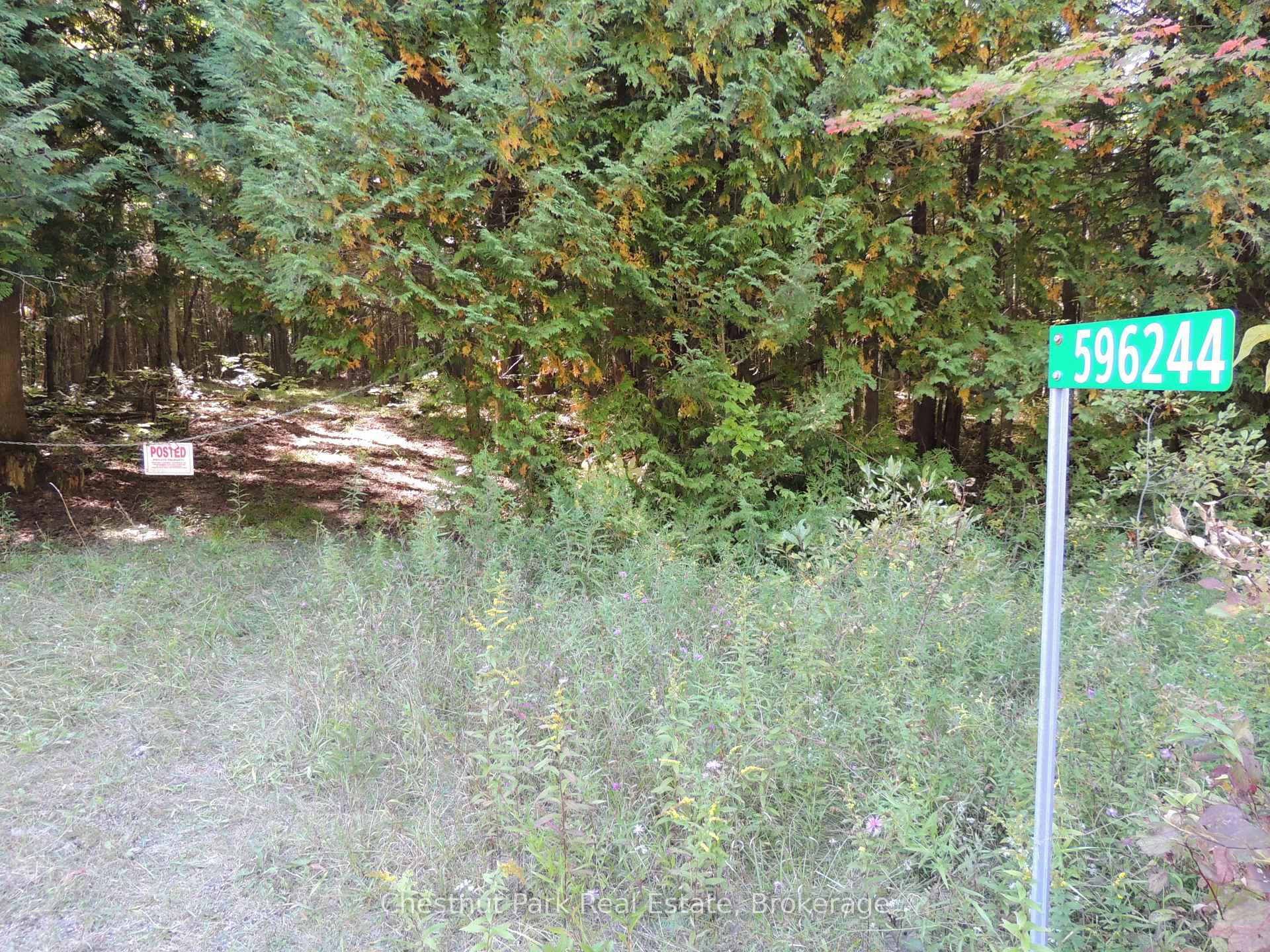 596244 Concession 10 N/A, Chatsworth, ON N0H 1R0