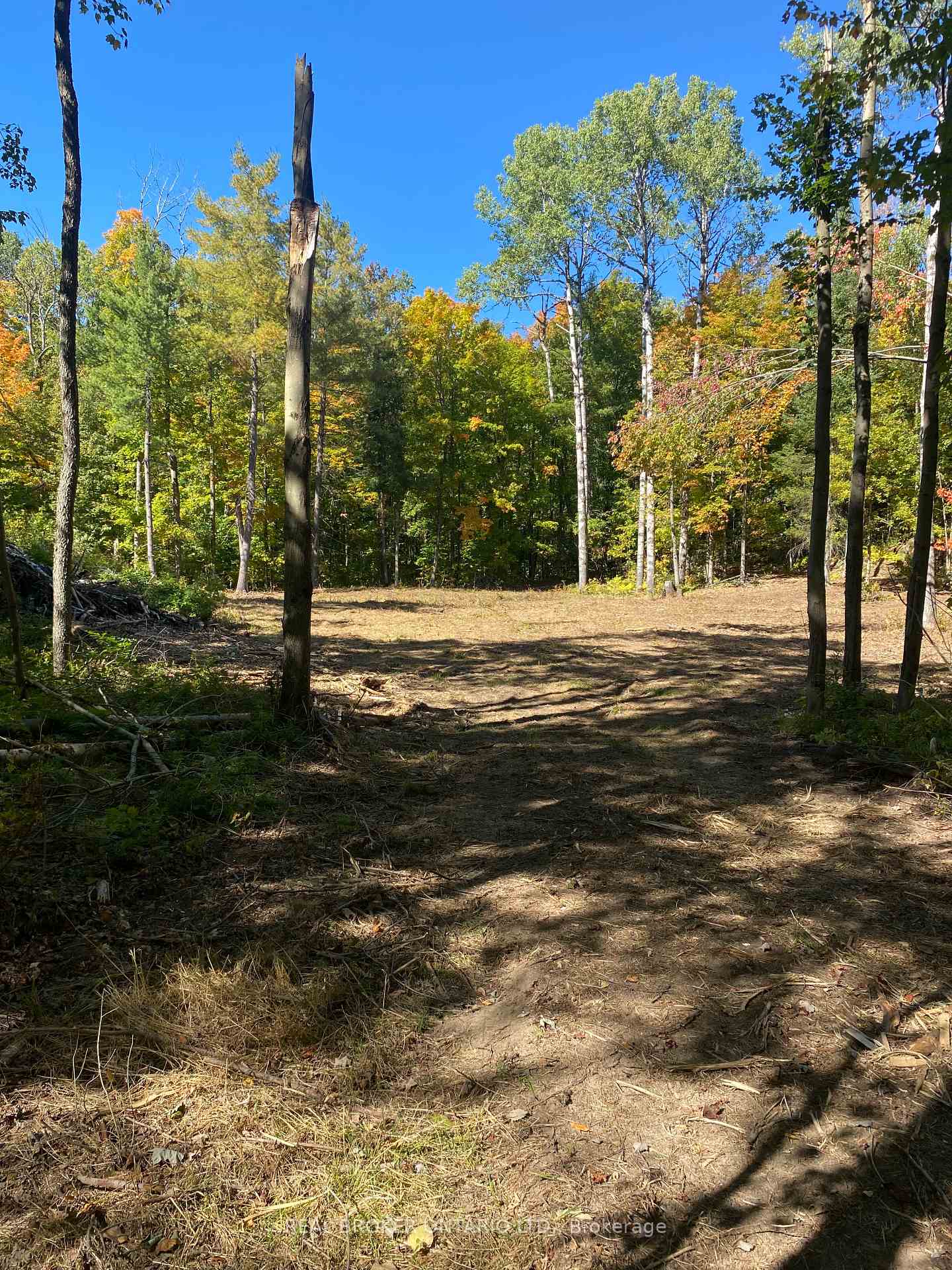 1248 Beiers Road, Gravenhurst, ON P0E 1G0
