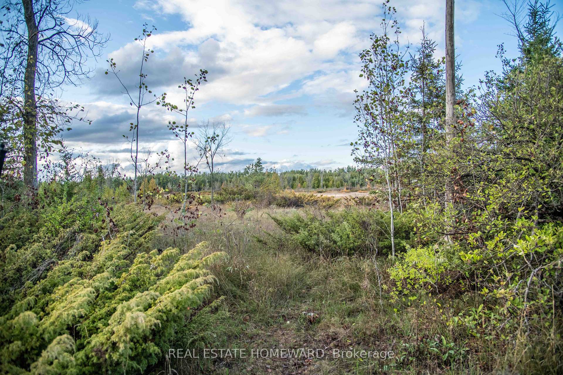 Lot 256 McGuire Beach Road, Kawartha Lakes, ON K0M 2B0