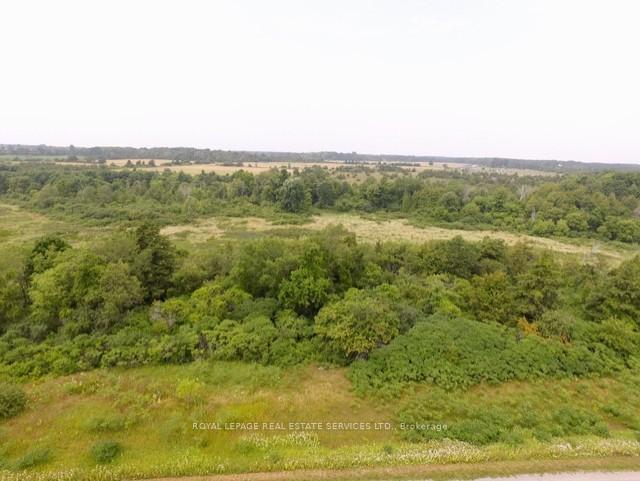 Lt 27 Pt 3 County Rd 10 N/A, Prince Edward County, ON K0K 2T0