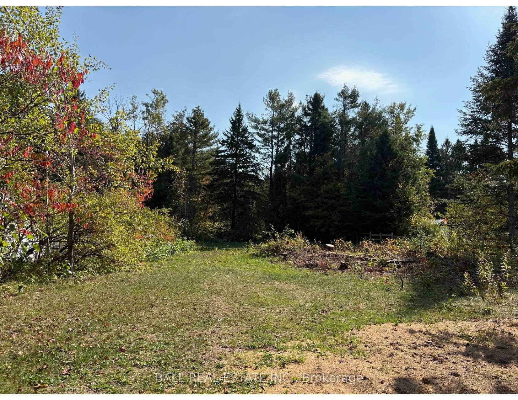 0 The Avenue N/A, Kawartha Lakes, ON K0M 2A0