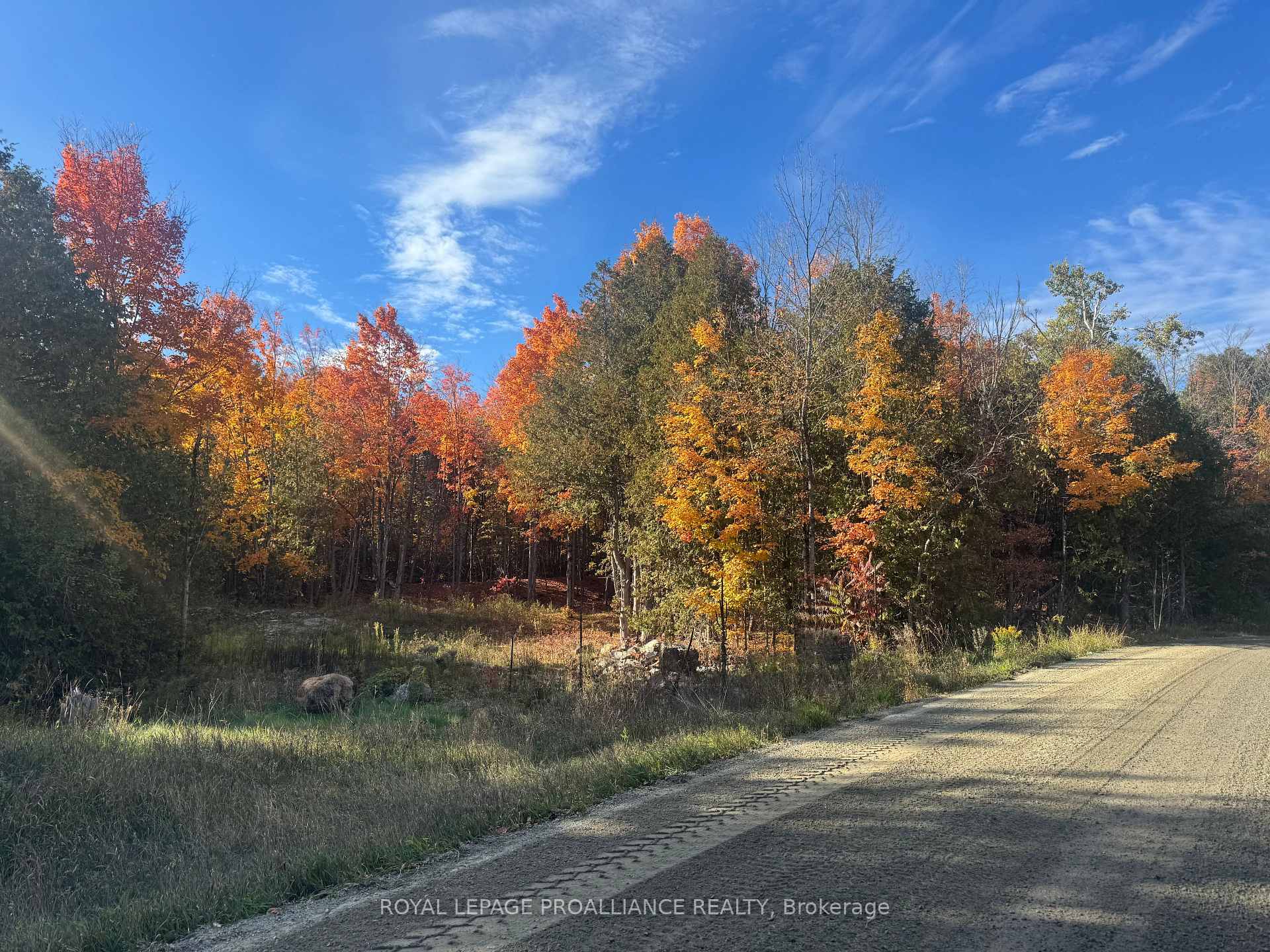Lot 2 S Vansickle Road N, Havelock-Belmont-Methuen, ON K0L 1C0