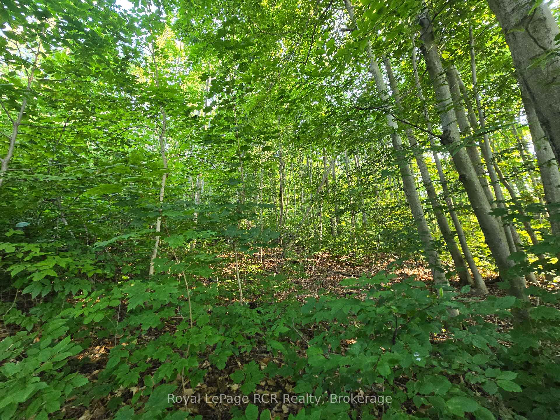 126 Old Highway 26 Highway, Meaford, ON N4L 1W7