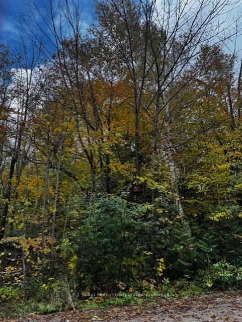 78178 Lavrangue Drive E, Central Huron, ON N0M 1G0