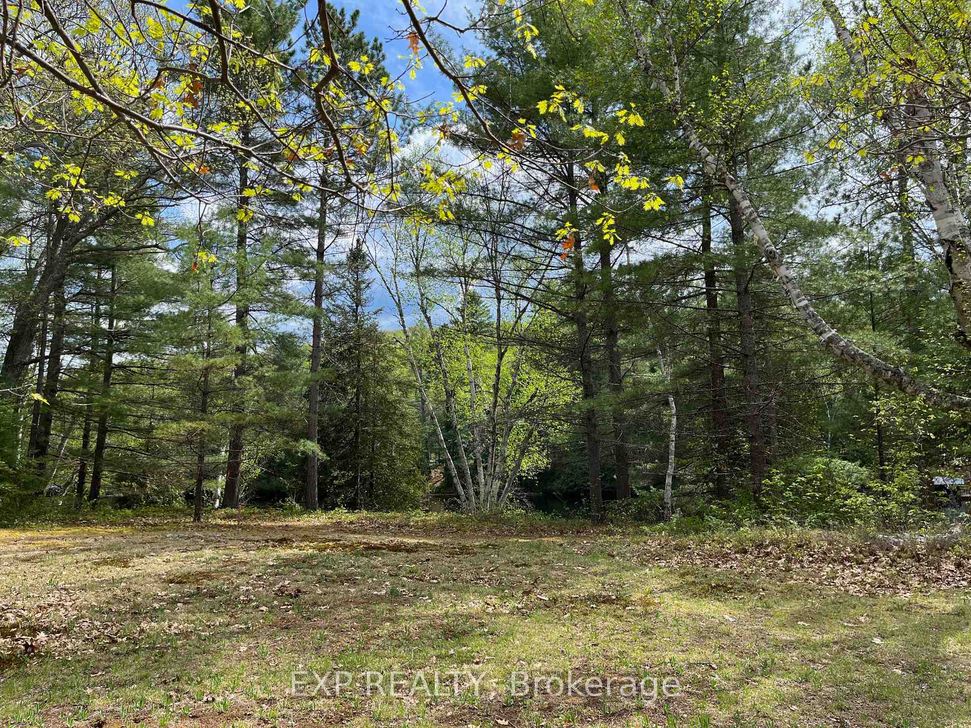 Lot 37 Sandy Shores Trail, Madawaska Valley, ON K0J 1B0