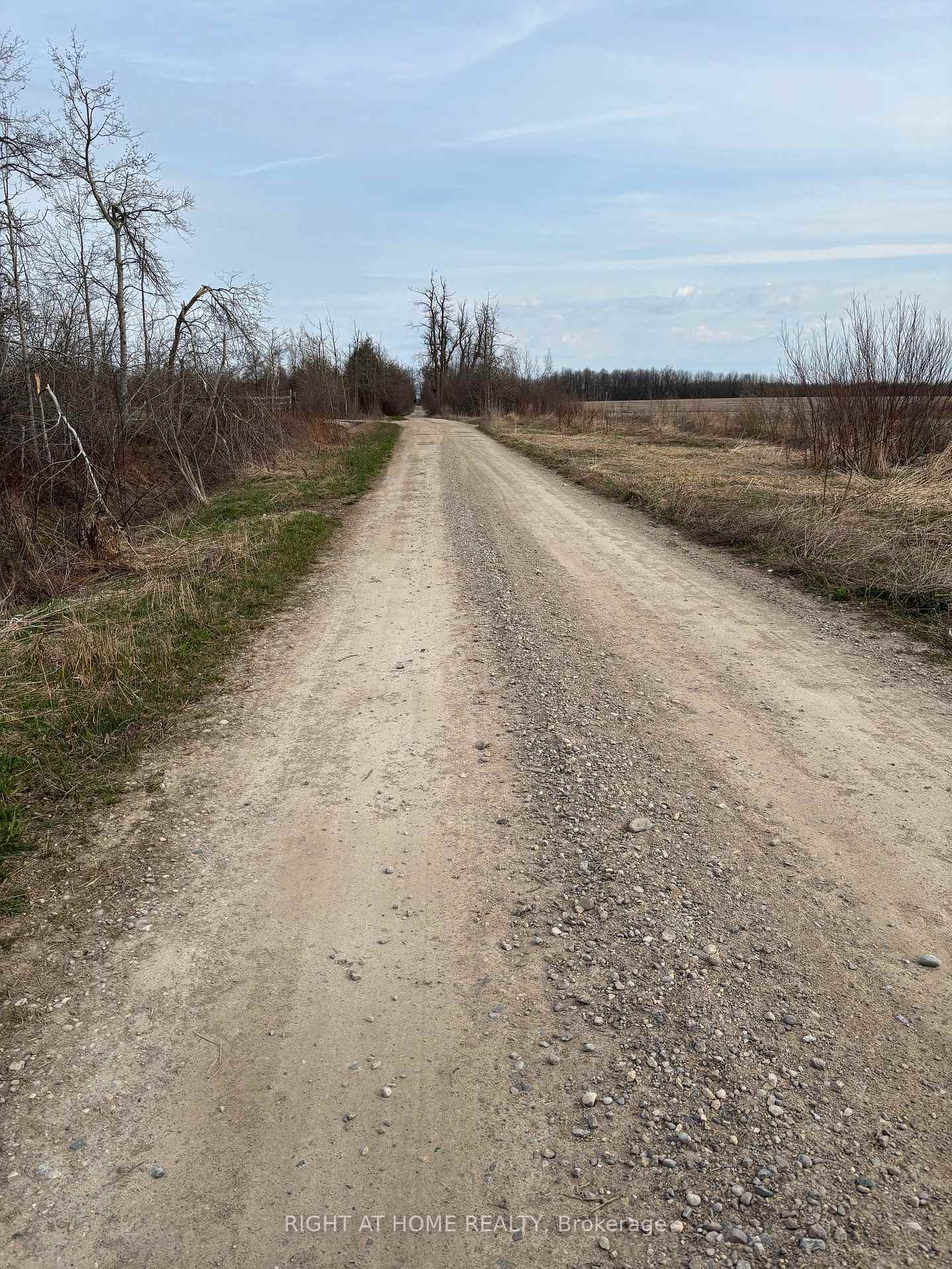 Conc 2 5th Line, Melancthon, ON L9V 1P8