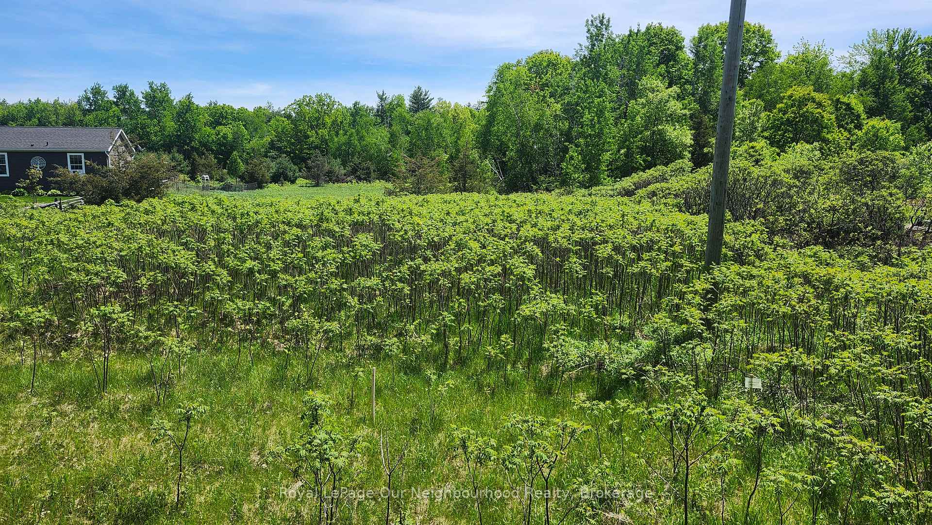 LOT 14 TRENT RIVER Road, Trent Hills, ON K0L 1Z0