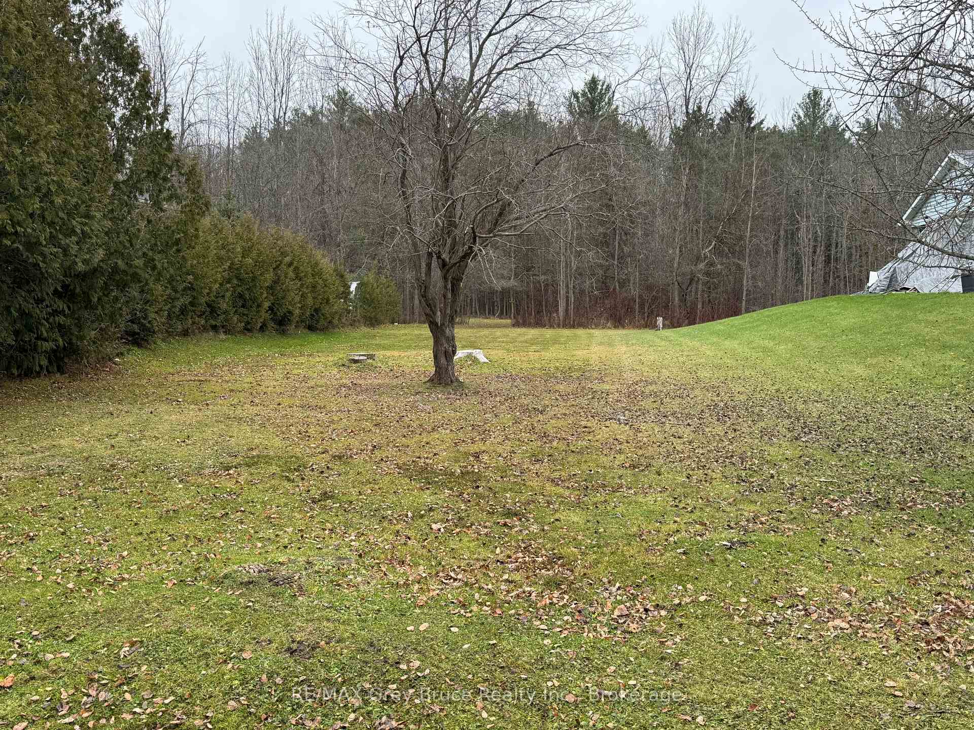 111 Carney Street, Georgian Bluffs, ON N4K 6V5