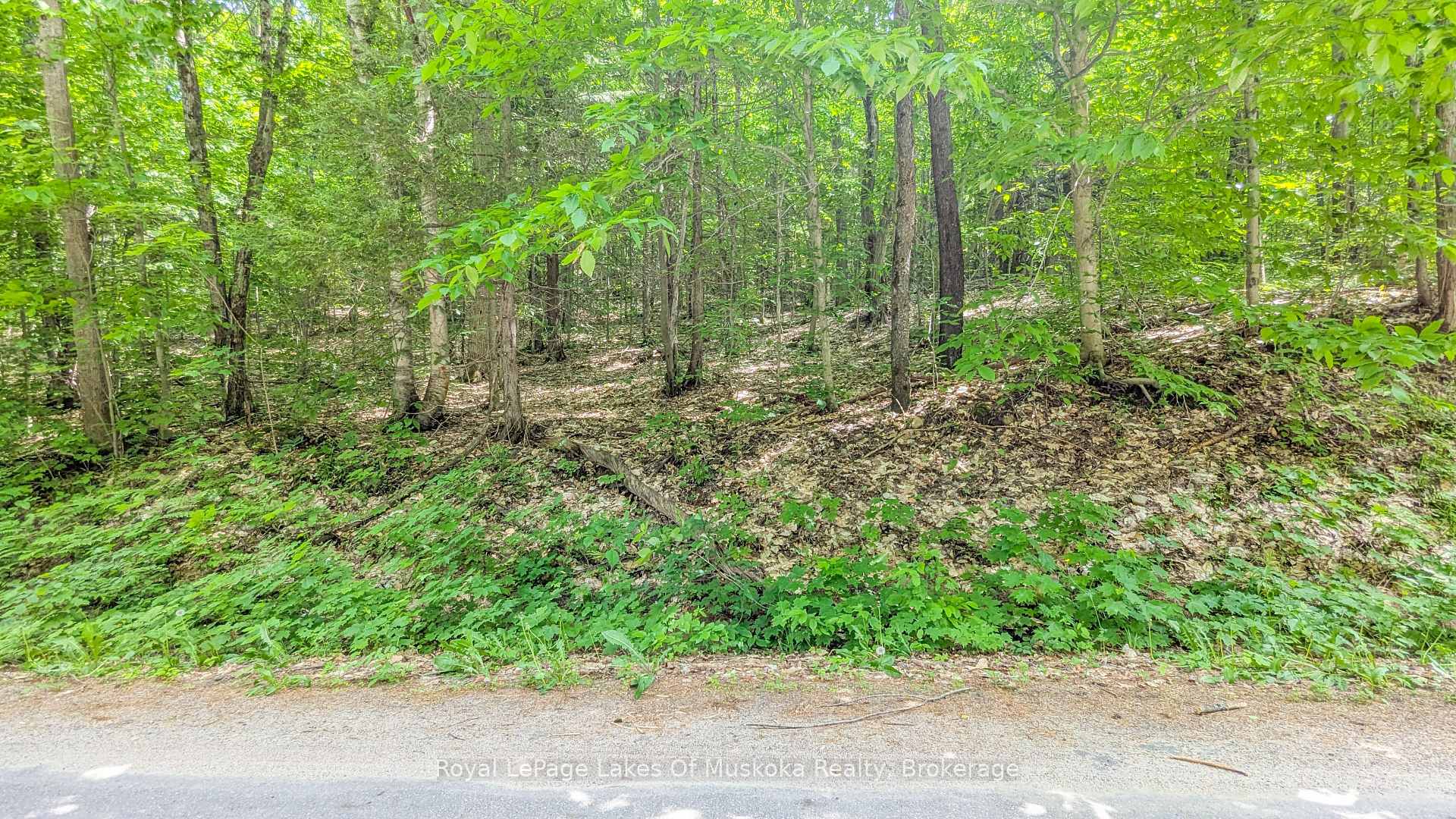 0 Rosseau Lake Rd 1 N/A, Muskoka Lakes, ON P0B 1M0