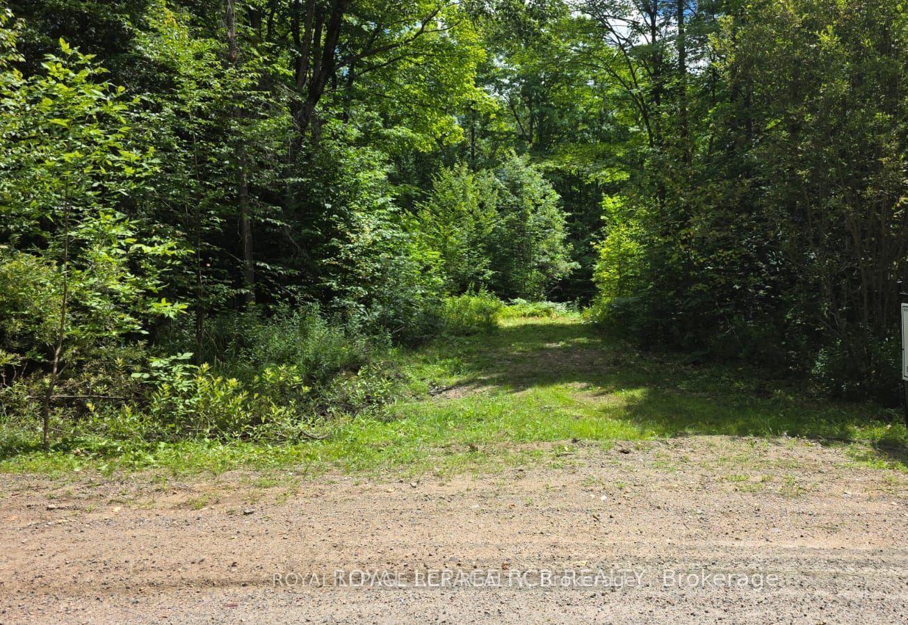 Pt Lot 6 Con 10 Monmouth Madill Road, Highlands East, ON K0M 1R0