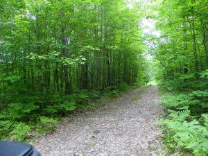 50 Acres in Muskoka North of Bala PCL 31045 N/A, Muskoka Lakes, ON P0C 1A0