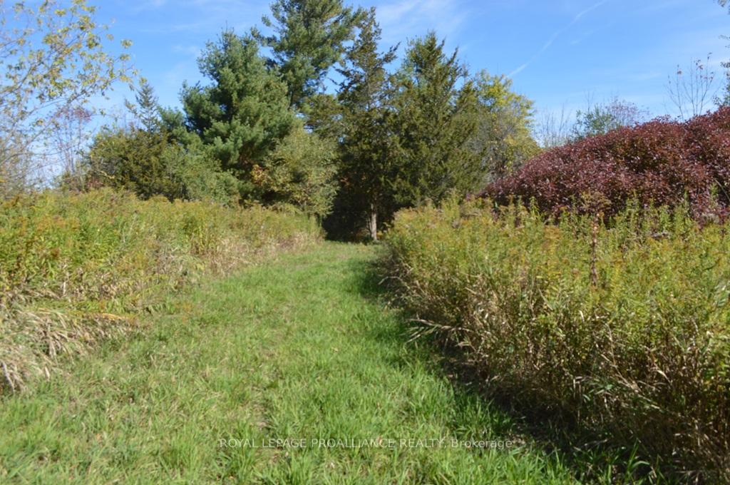 00 Scriver Road, Brighton, ON K0K 1H0