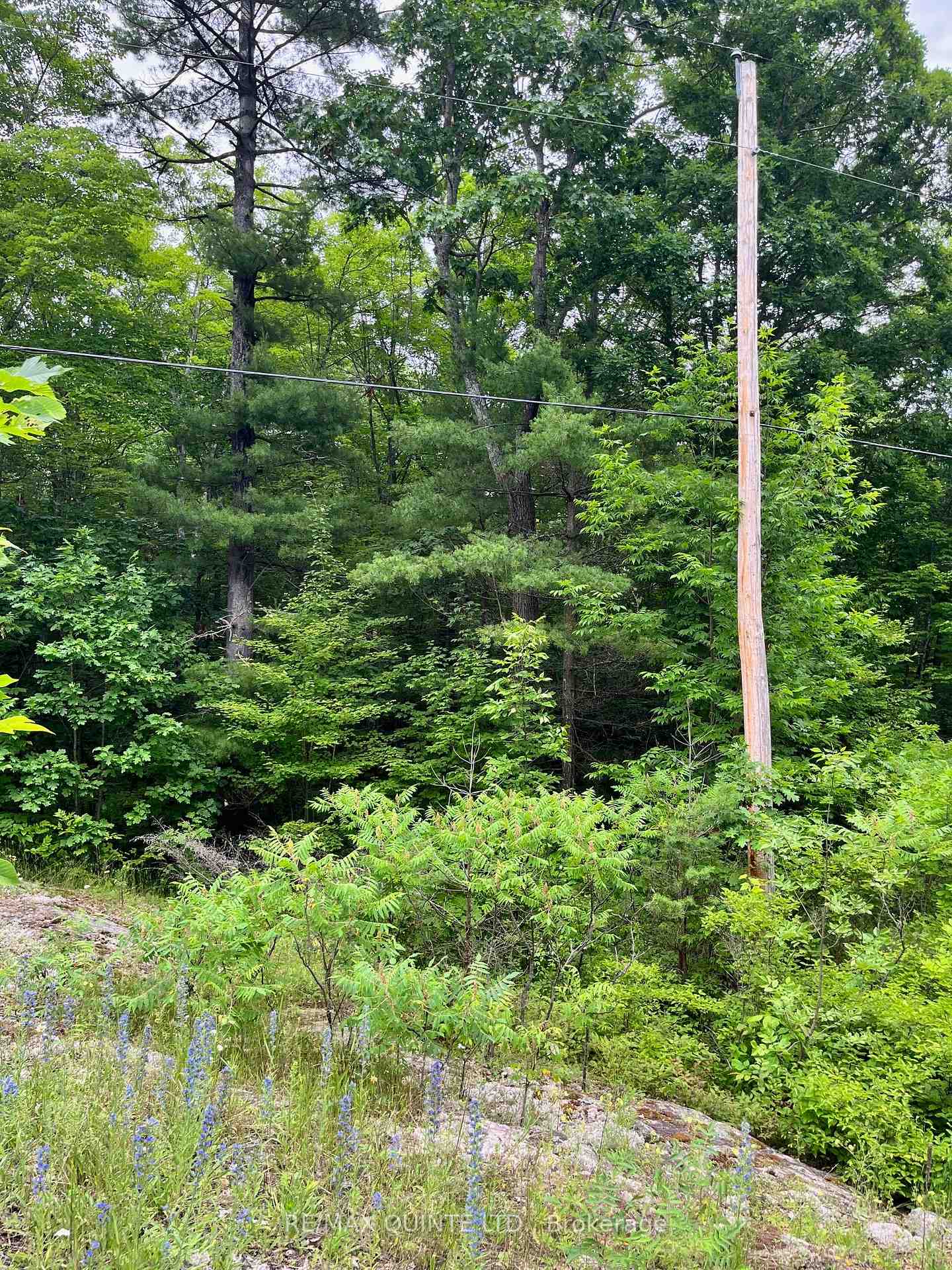 0 (PIN - 40264-0091) Potter Settlement Road, Tweed, ON K0K 3J0