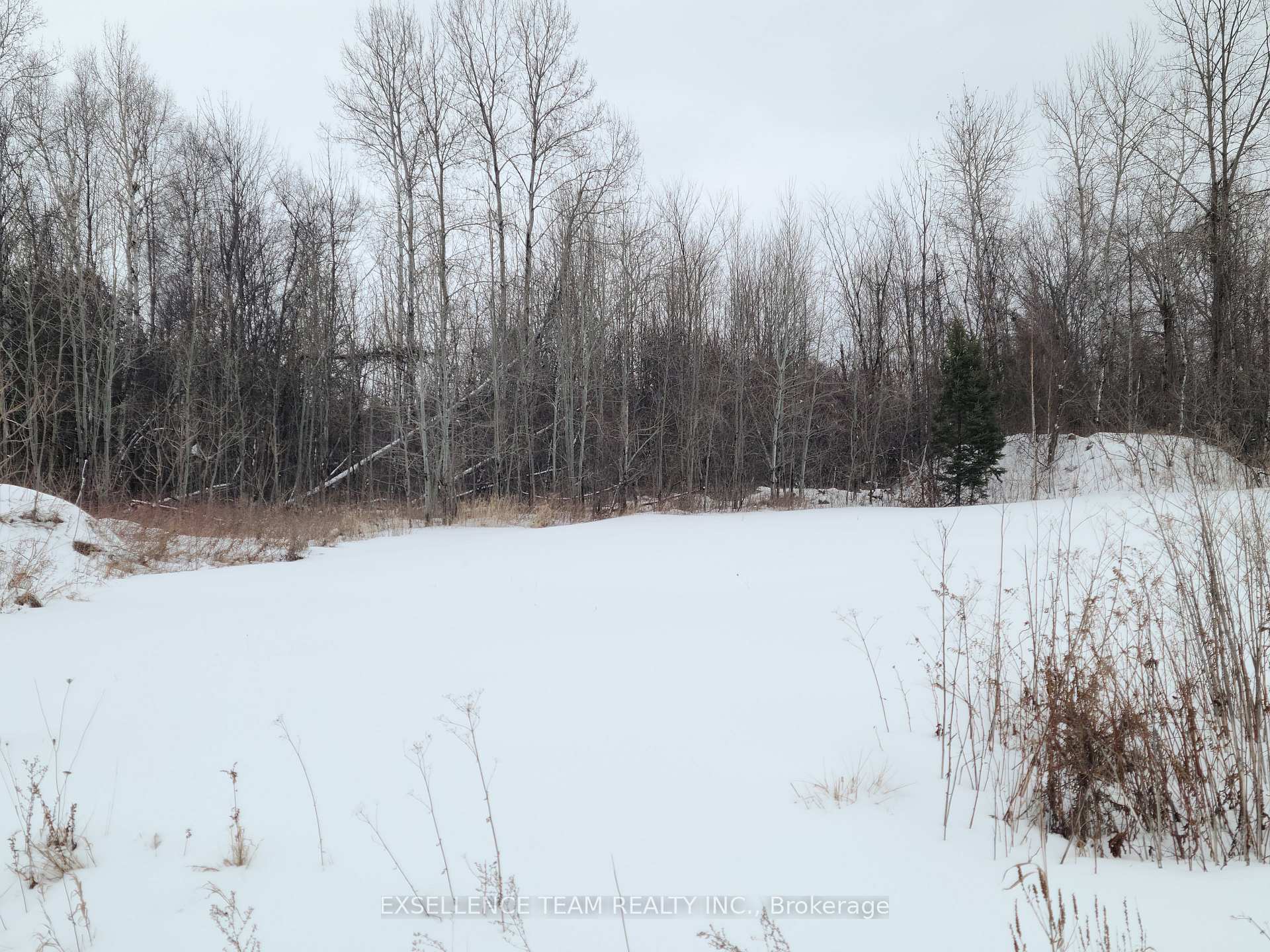 Lot#33 Crows Nest Road, North Stormont, ON K0C 1T0