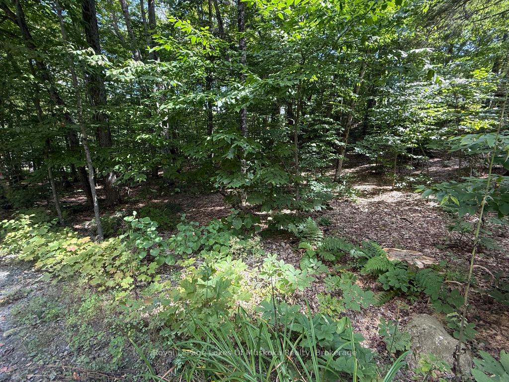 Lot 85 Brennan Circle, Huntsville, ON P1H 2J2