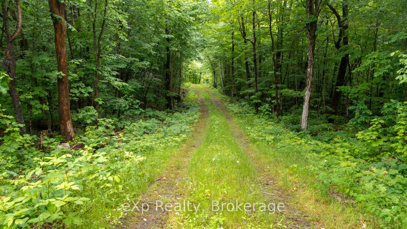 3 Kingfisher Road, McDougall, ON P2A 2W9