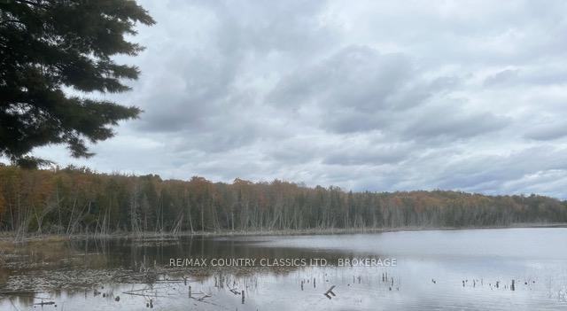 Lt 1, PL 1839 Bull Lake Road, Frontenac, ON K0H 1B0