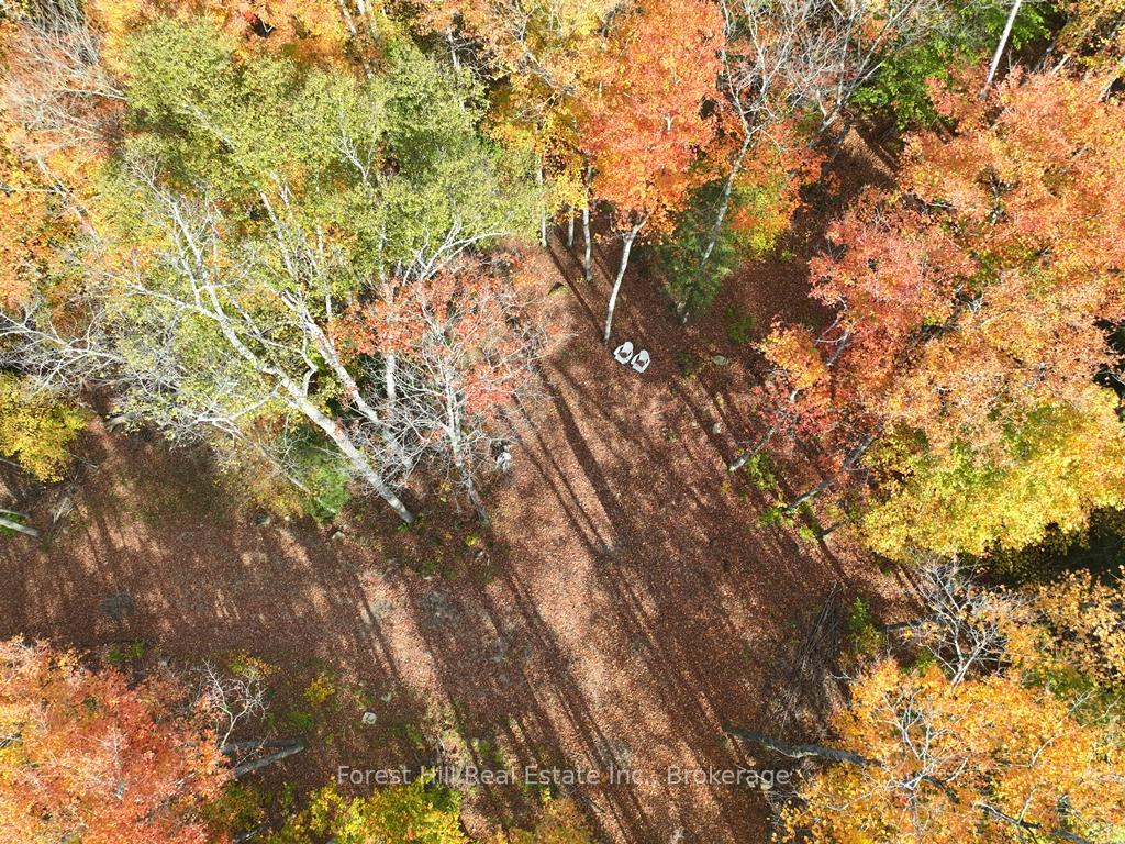 4488 Kawagama Lake Road, Algonquin Highlands, ON P0A 1E0