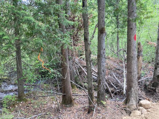 Lot 28 Concession 11 N/A, Lake of Bays, ON P0A 1H0